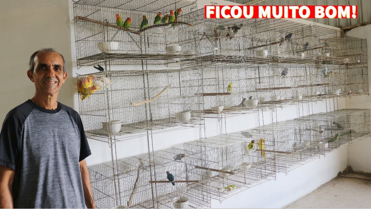 ORGANIZEI TODOS OS VIVEIROS DE AGAPORNIS