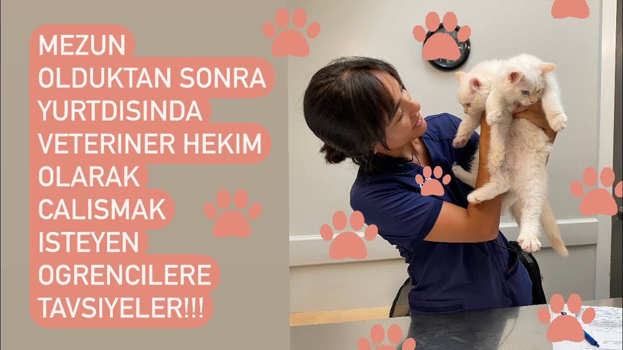 Tavsiye degil ben suan ogrenci olsaydim ve boyle bir hayalim olsaydi neyi farkli yapardim diyelim ;)