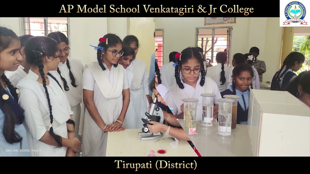 AP Model School, Venkatagiri  - School Development
