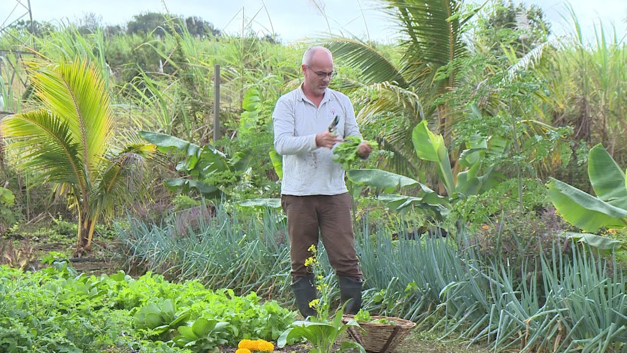 Mon Jardin Ma Maison - Agriculture Regenerer