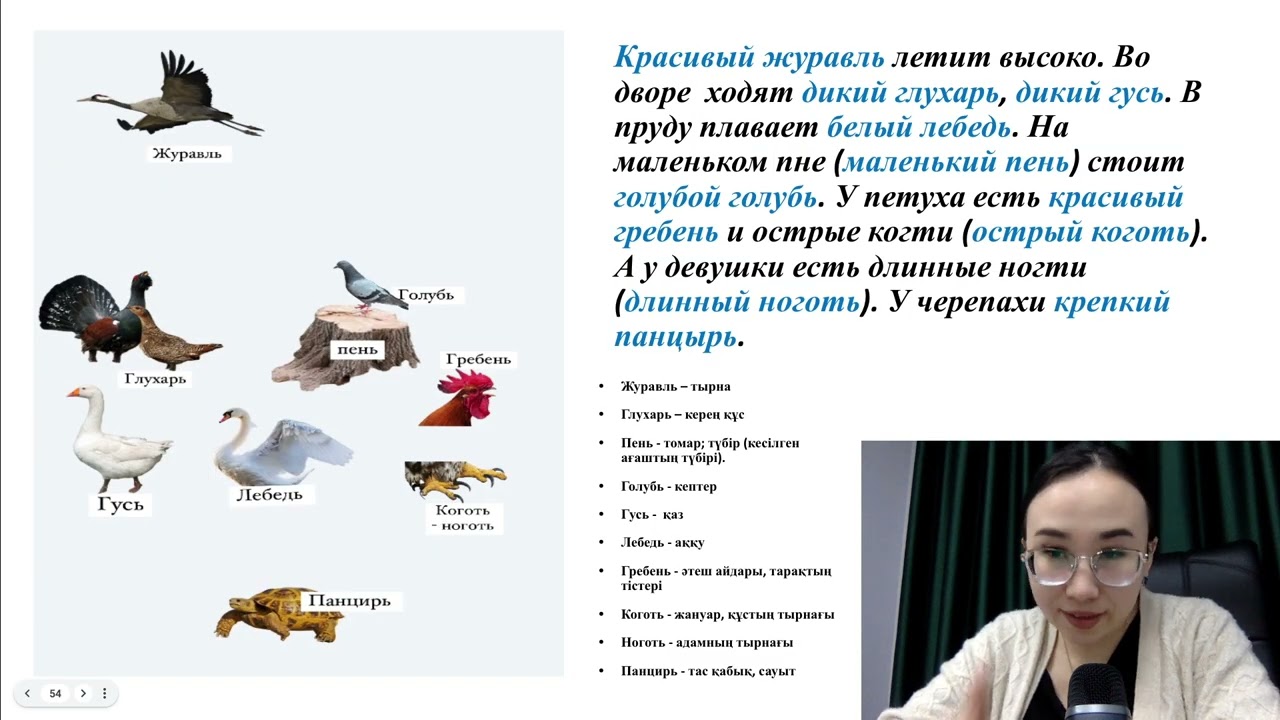 Орыс тілі сабақтары. Зат есімнің родтары. “Ь” біткен сөзің роды қандай?