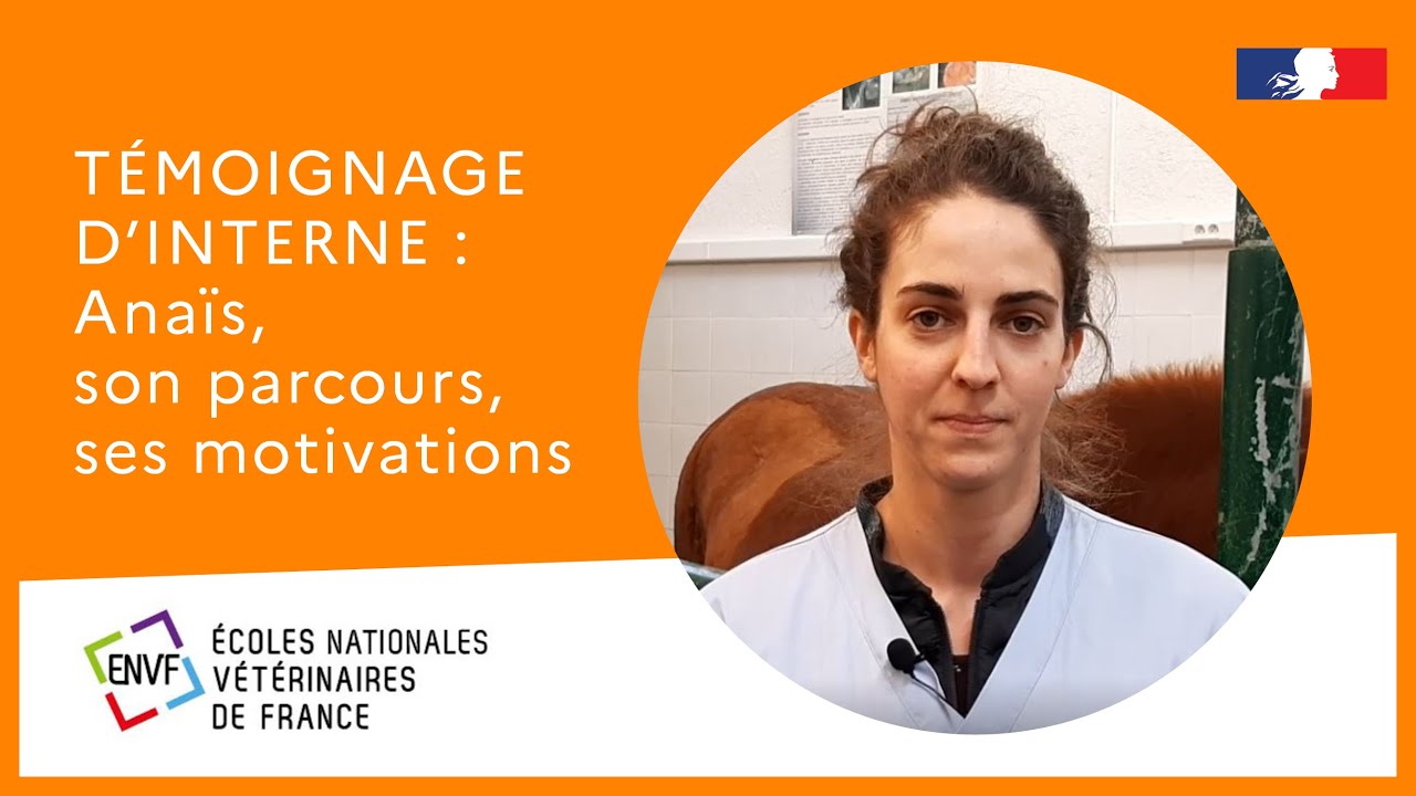 Témoignage d'interne - Anaïs