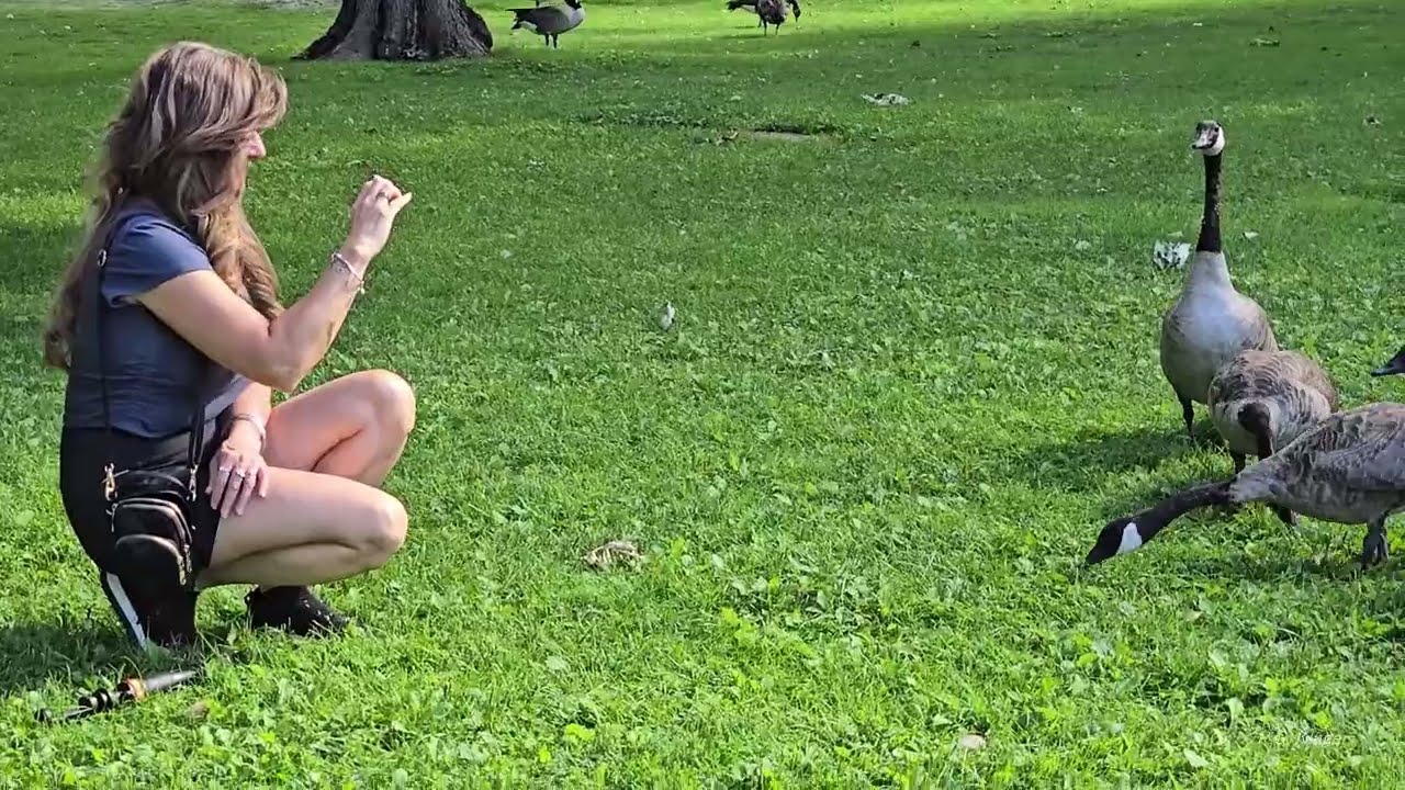 Snack Heist in the Park – Colorado Edition 🐿️🦆🌰