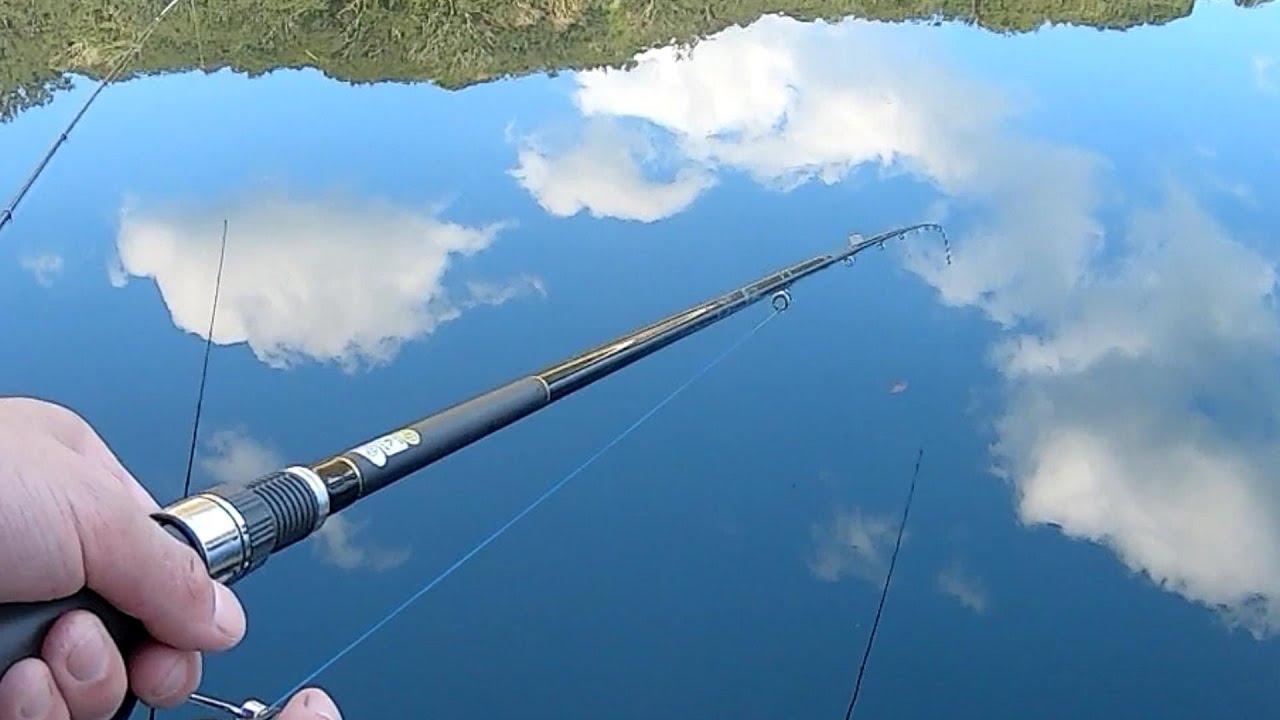 【誘いとアワセのタイミング特集】脈釣りで釣り堀のマダイを釣る