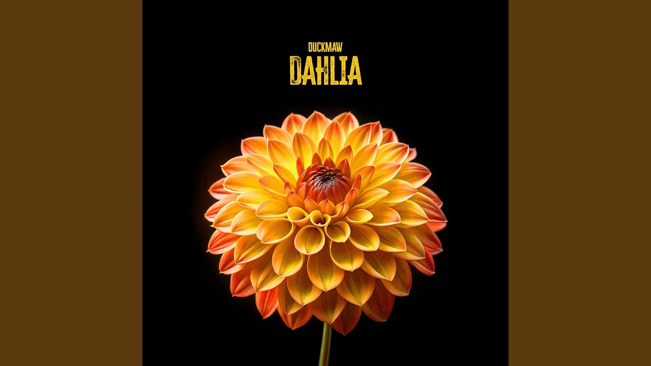 Dahlia