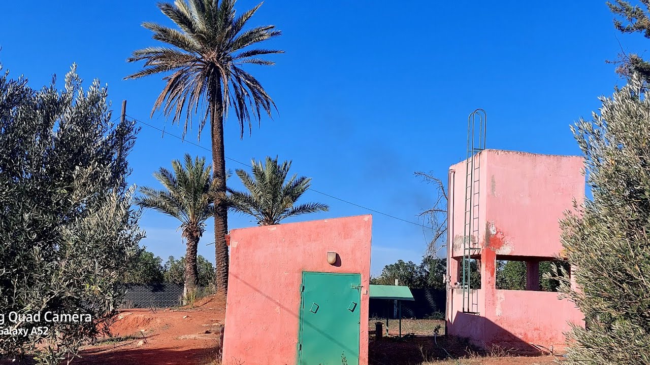 كاين فيرمة كبيرة للبيع في بن سليمان نواحي زيايدة فيها جوج هكتارات مع منزل جوج بيار واحد بلدي جاهزة
