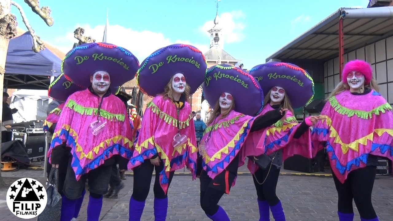 de volledige carnavalstoet van Aardenburg (NL ) op 14 feb.2026