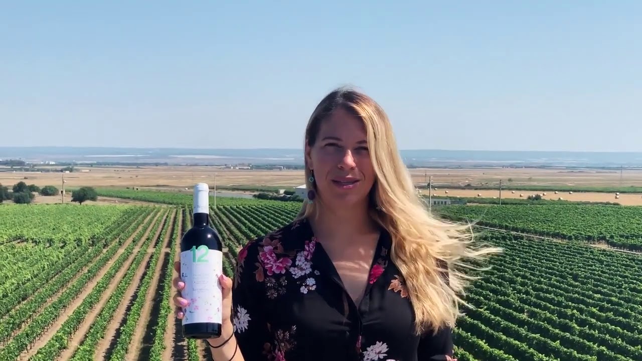 Varvaglione 12 e Mezzo Organic Primitivo Tasting Video