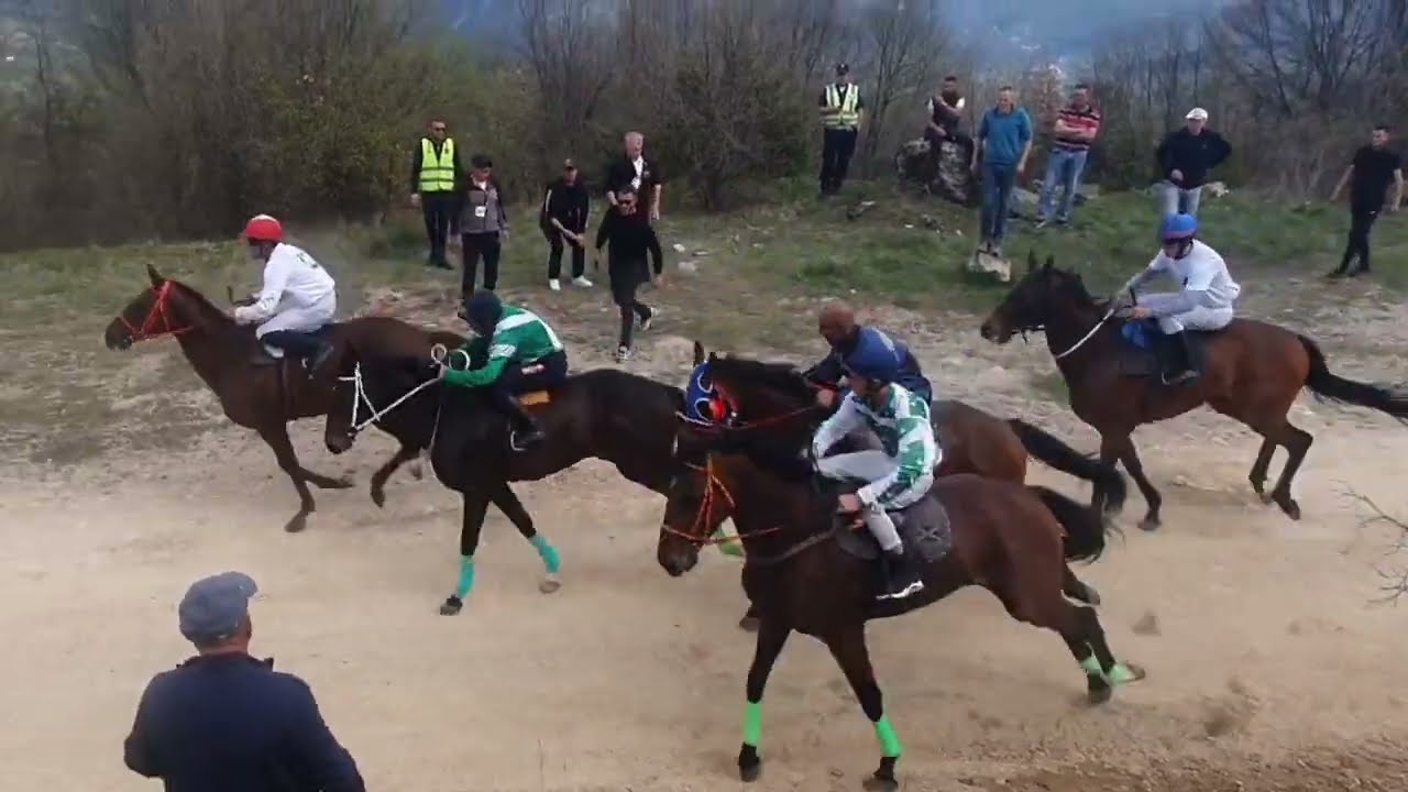 TRKA KONJA BORETINO BRDO 2023(Glavna trka,pobednik grlo Kameni bili vlasnika Meha Dautovića)