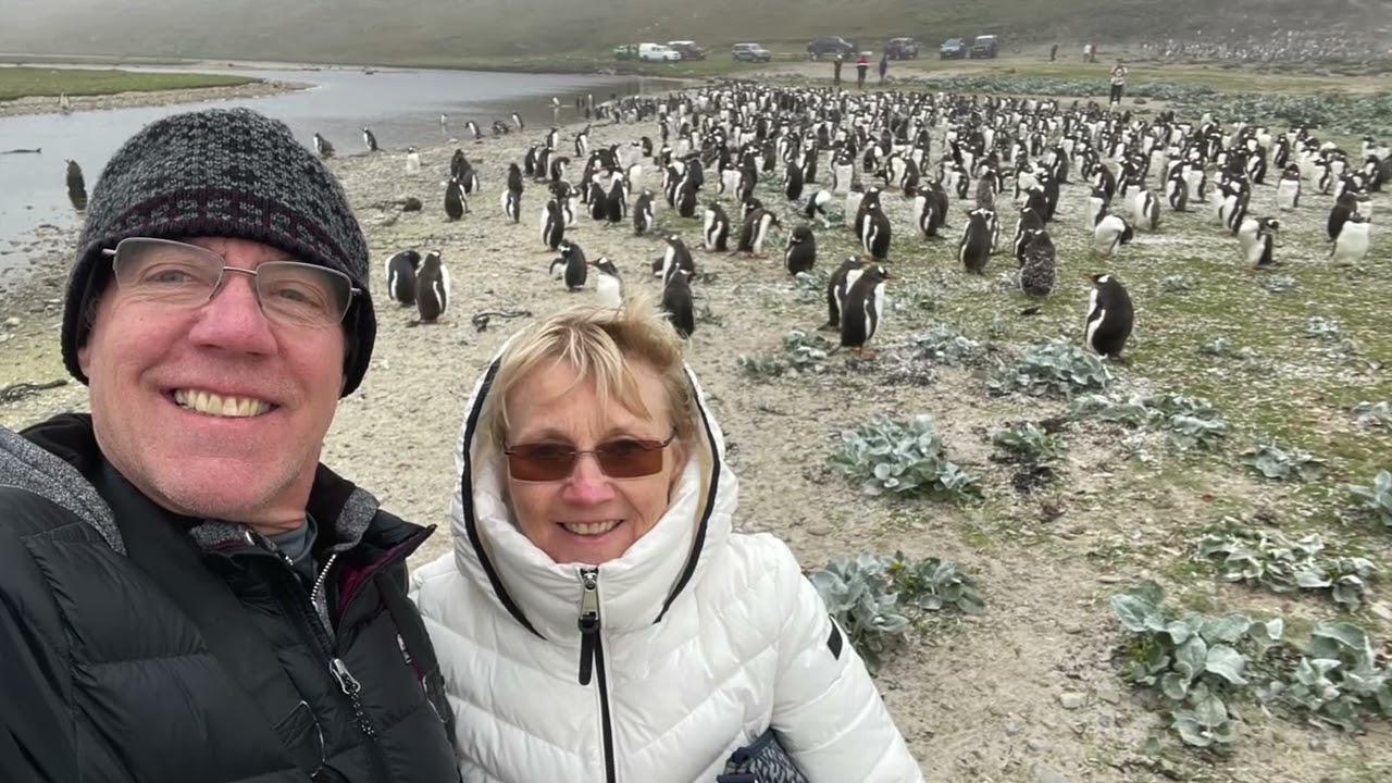 PENGUINS of Falkland Islands at Seal Bay.       February 2024