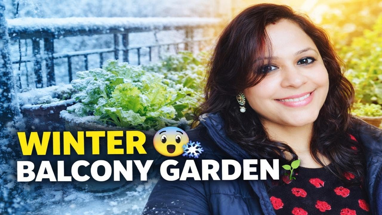 My Plants vs Tokyo Winter – Who Won? 🥶🌱