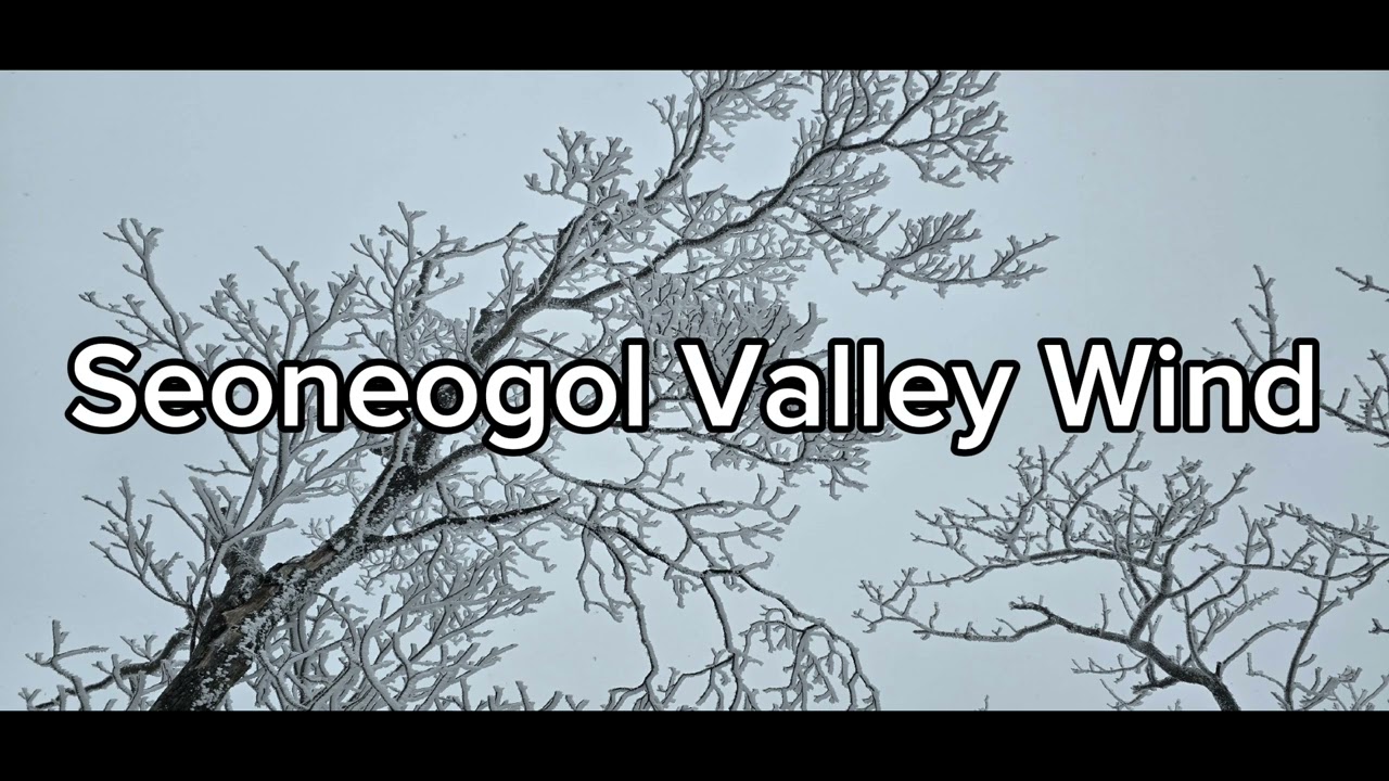 Seoneogol Valley Wind 