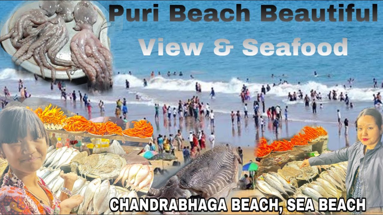 Puri Beach Beautiful View & Seafood || Odisha || CHANDRABHAGA BEACH || SEA BEACH 🏖️🏖️