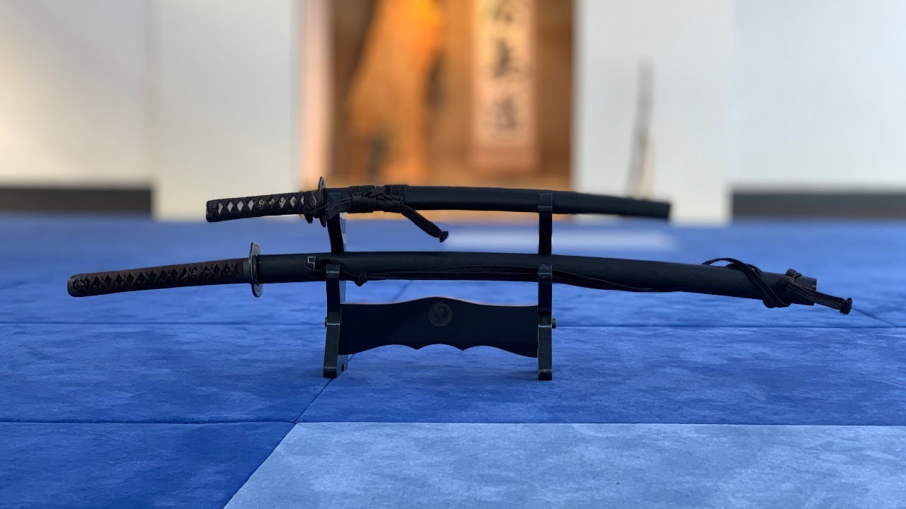 kenjutsu online training #5