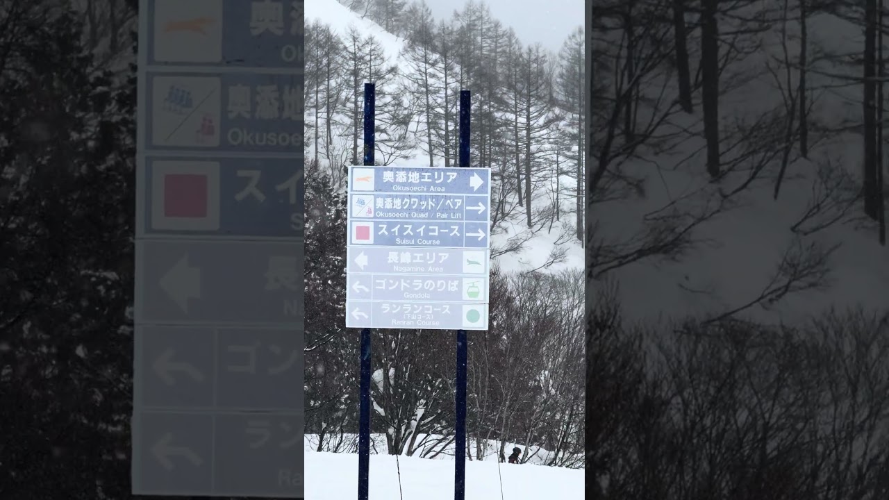 Maiko , really a good ski 🎿 place for families n experts!