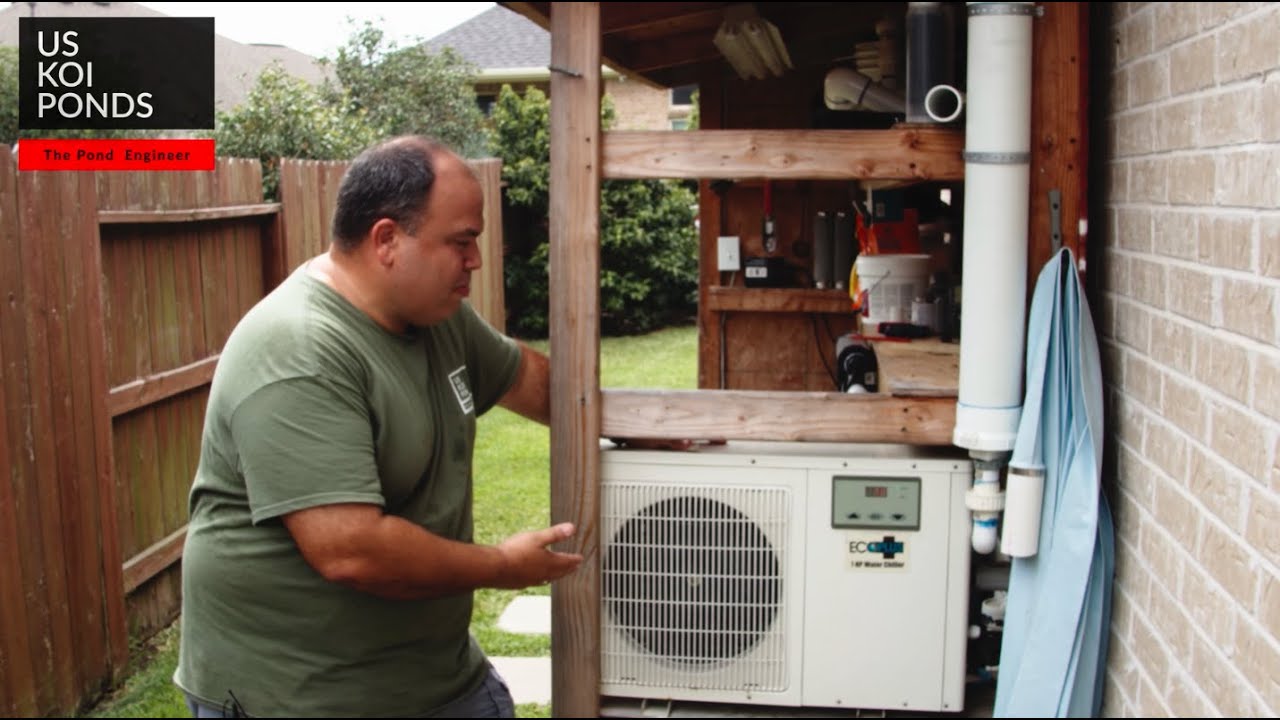 Water chiller in a Koi Pond, does it work?