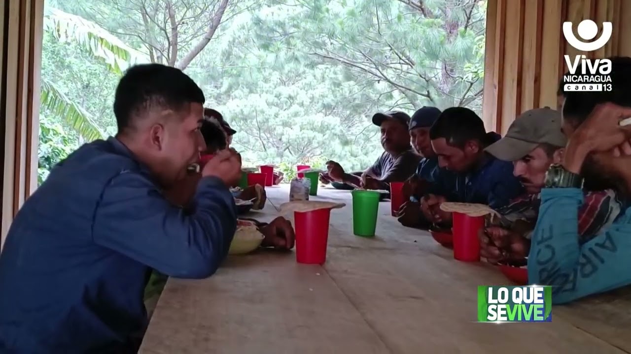 Nueva Segovia: Finca El Avión produce el mejor café de Nicaragua