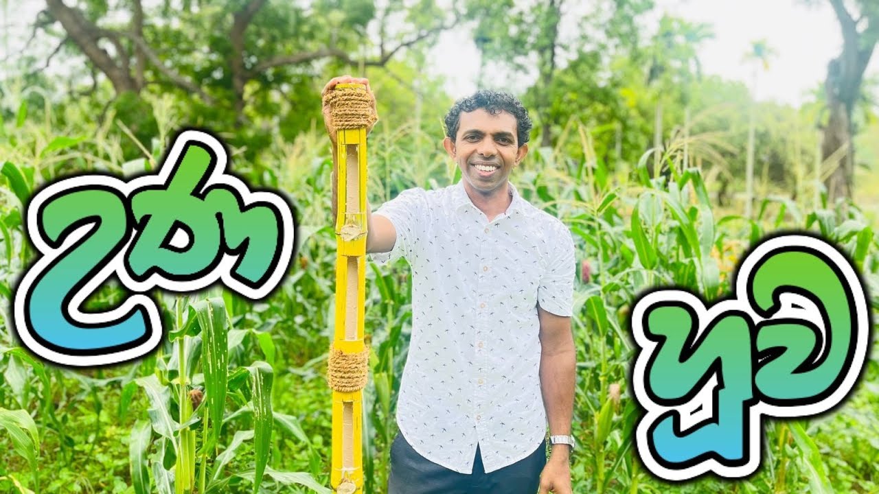 උණ හූව - (හේන් ගොවියා තම වගාව වන සතුන්ගෙන් ආරක්ෂා කර ගැනීමට භාවිතා කල උපක්‍රම 02)