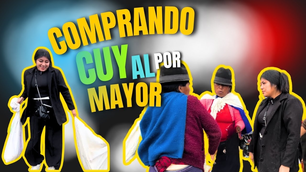 COMPRANDO CUY AL POR MAYOR EN AMBATO | NOEMI GUAPI