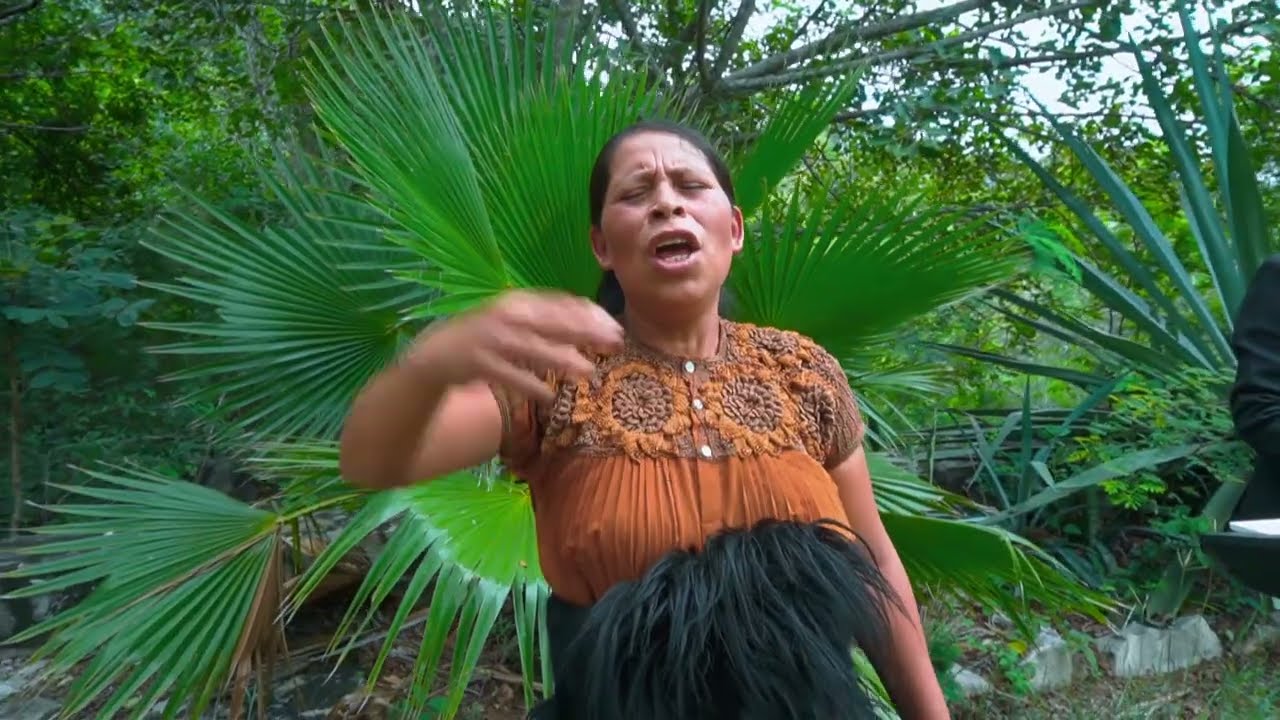 Maria Hernández, Si Todos Trabajamos 