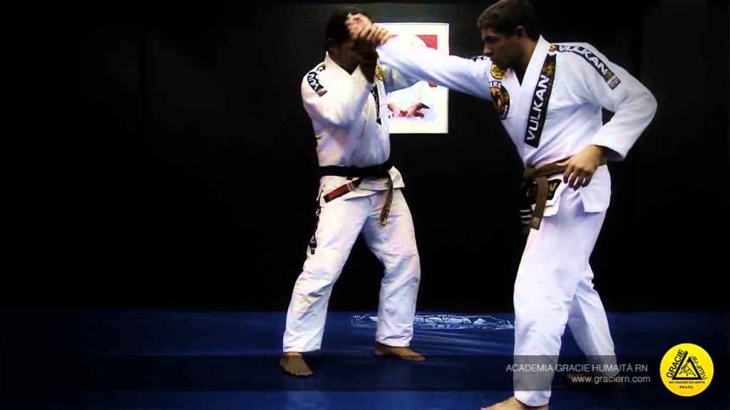 100 Técnicas em homenagem aos 100 anos do Grande Mestre Hélio Gracie