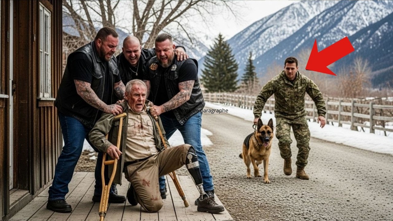 Vétéran de 80 ans attaqué chez lui : une histoire de courage, justice et résilience