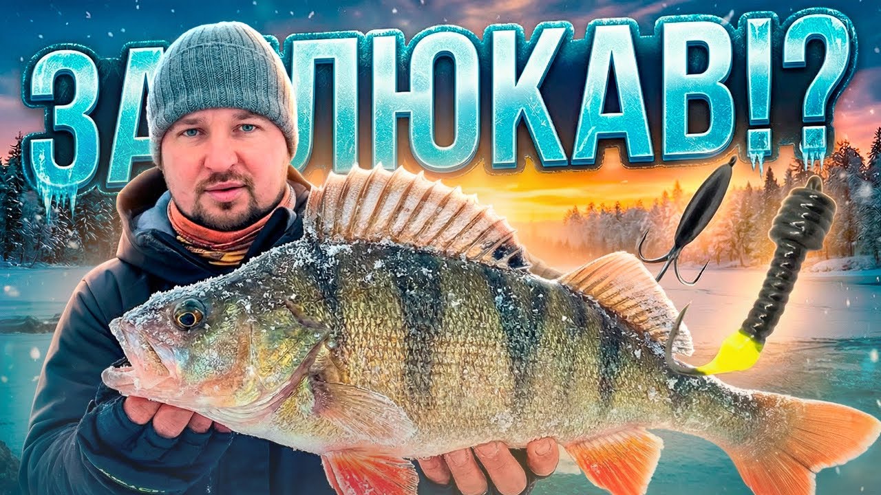 Вловимо окунів на лісотку!