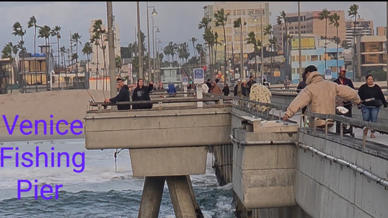Christmas Day 2025 - Venice Boardwalk 