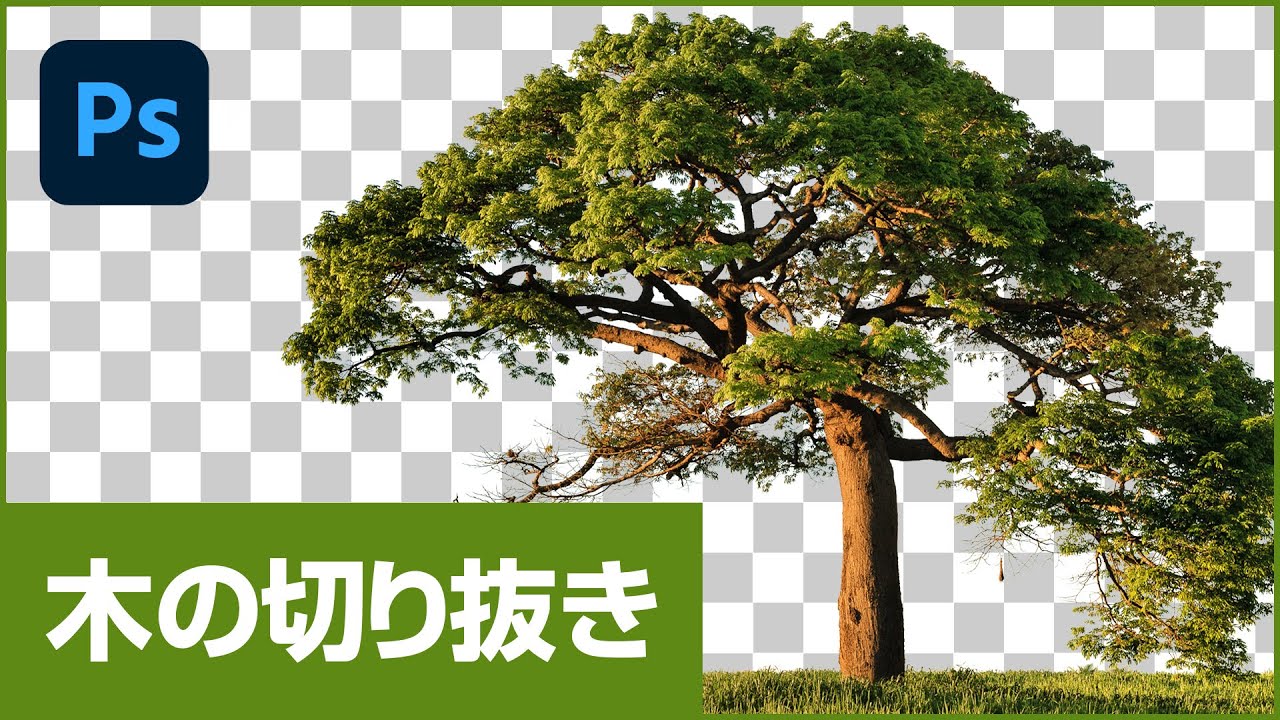【Photoshop講座】 木を美しく切り抜く方法(チャンネルで切り抜き)