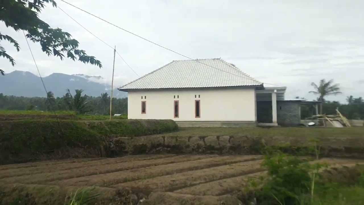 Lombok Island Rural Rice Fields in the Village of Wanasaba Daya | Lombok Walking