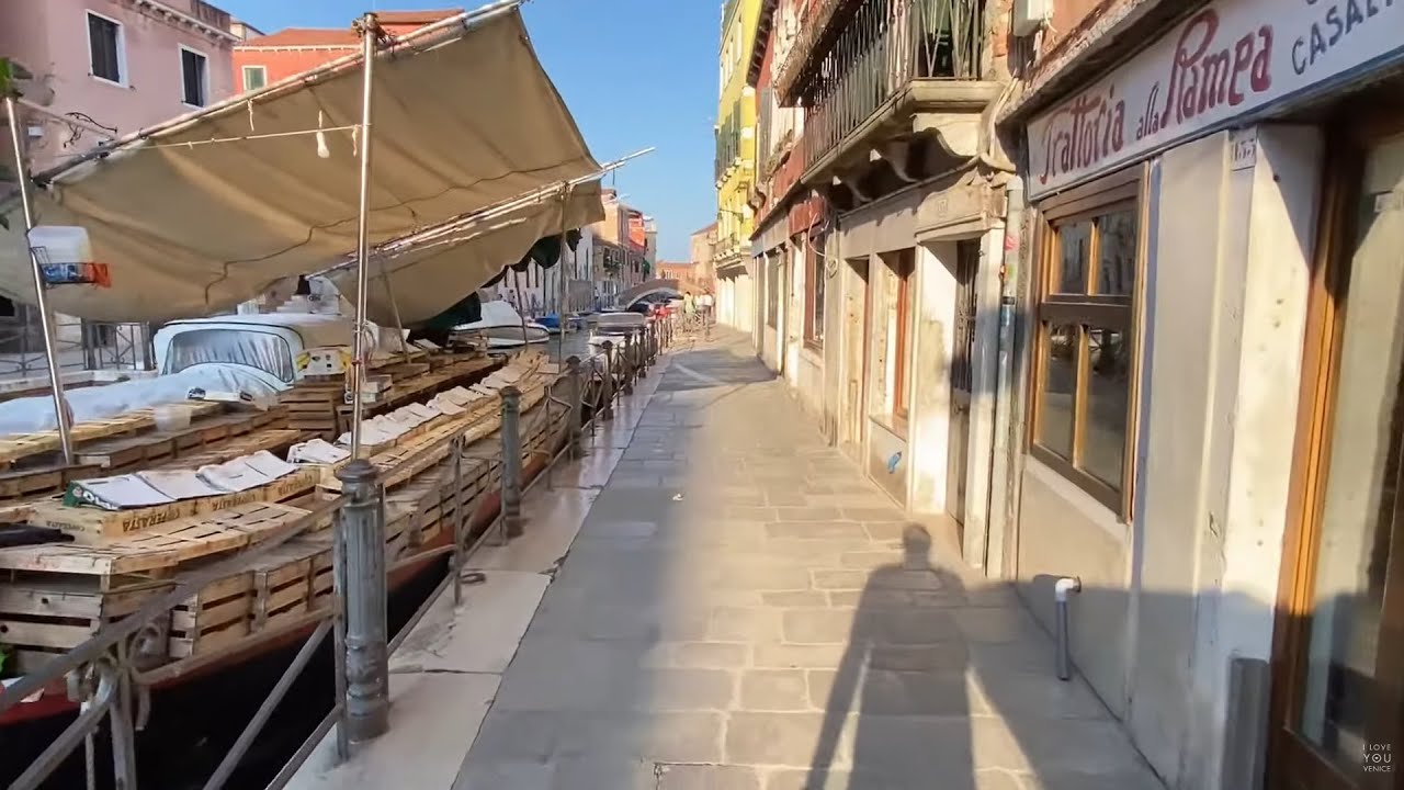 Live Walking Tour - The Castello District and Via Garibaldi