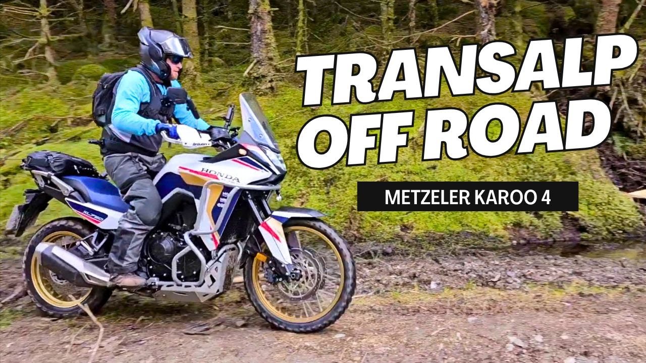 Первый выезд на бездорожье с моим Honda Transalp! | Тестируем шины Karoo 4 🎯