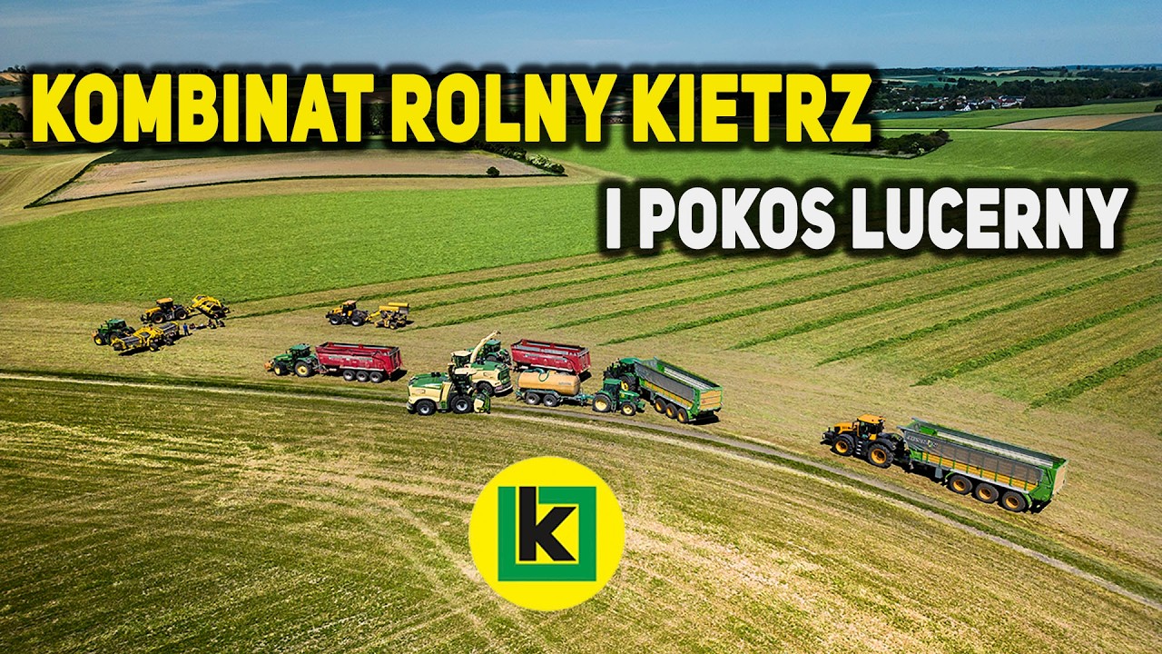 Lucerna w Kombinacie Rolnym Kietrz Pierwszy pokos