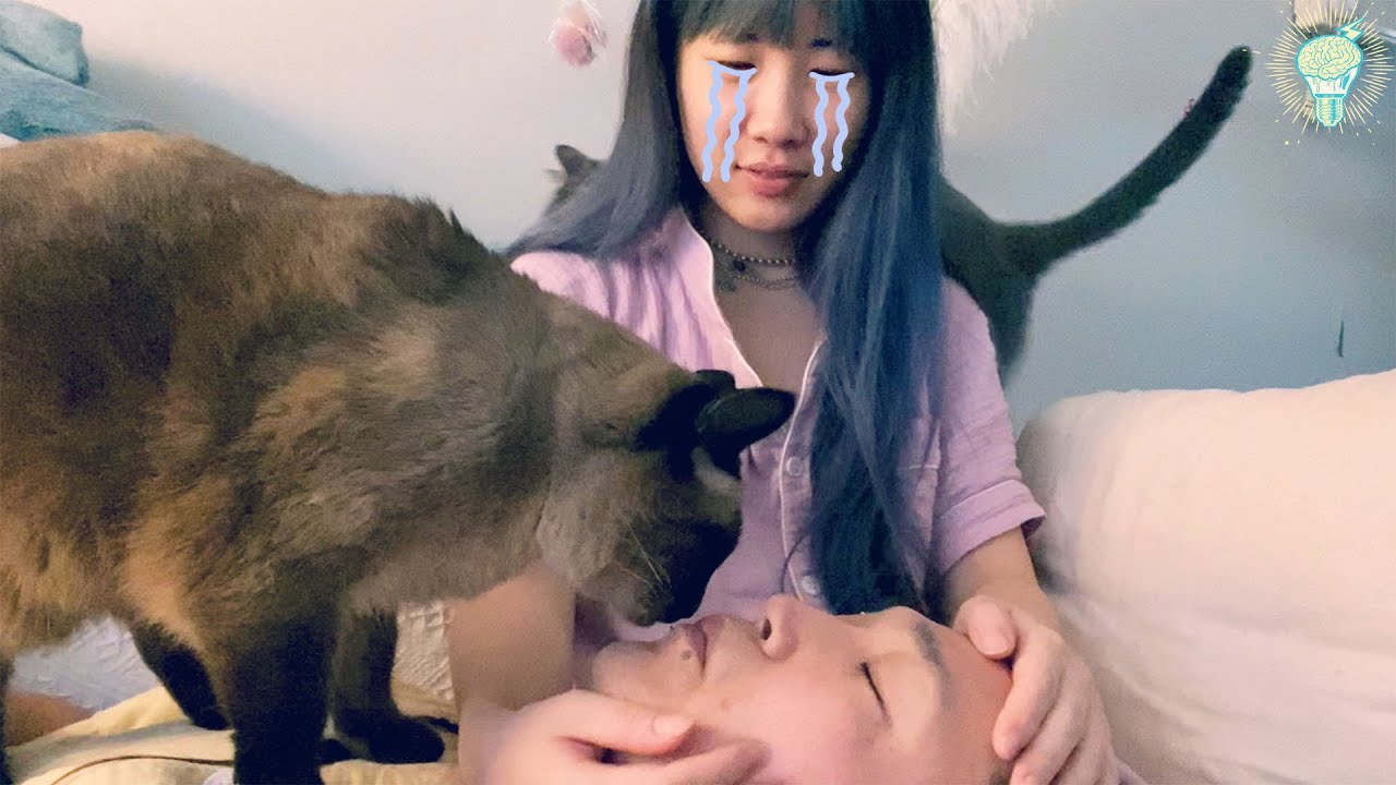 화이자 백신 2차 부작용 & 후기😭