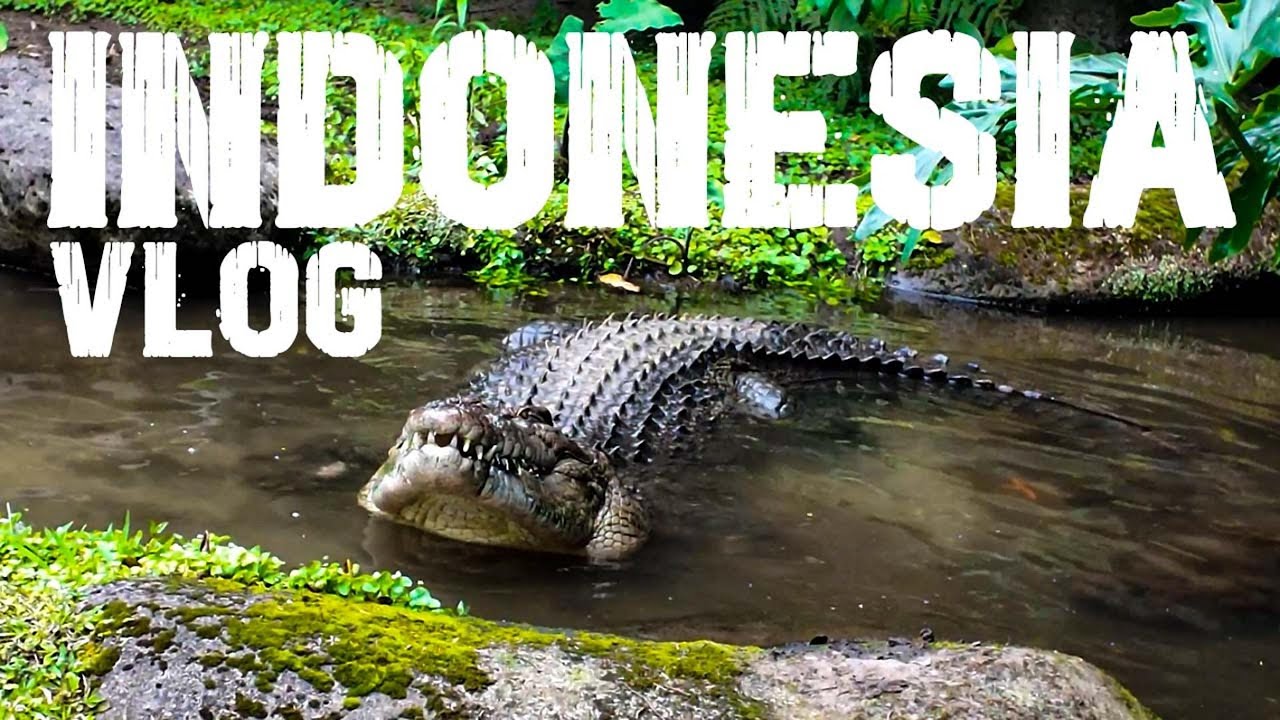 Finding Myself in Indonesia 🇮🇩 | A Travel Vlog.... Food, Fun & Memories