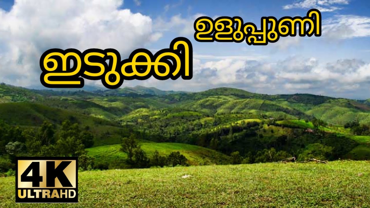 Ulupunni : Idukki