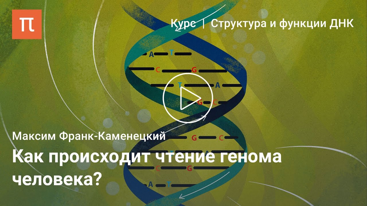Определение последовательности ДНК — Максим Франк-Каменецкий