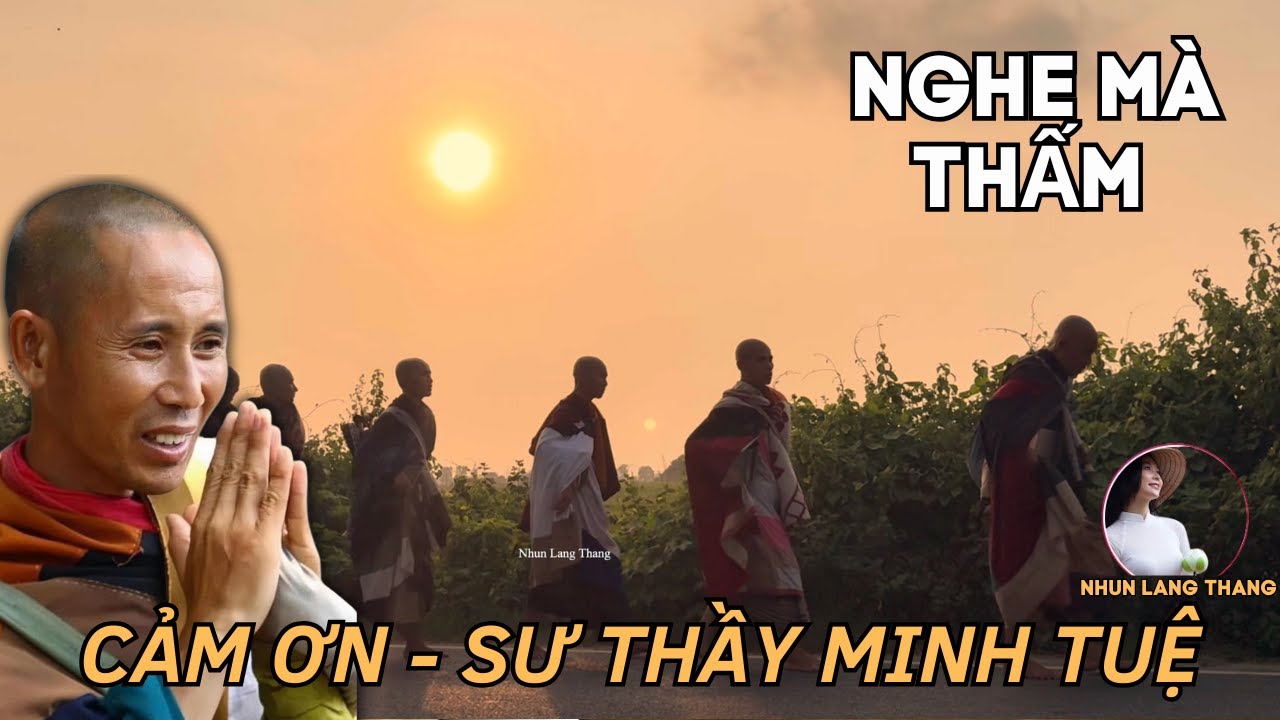 CẢM ƠN (THẦY MINH TUỆ) Thật Xúc Động Từ Tâm Của Phật Tử Qua Lời Bài Hát  #nhunlangthang #minhtue