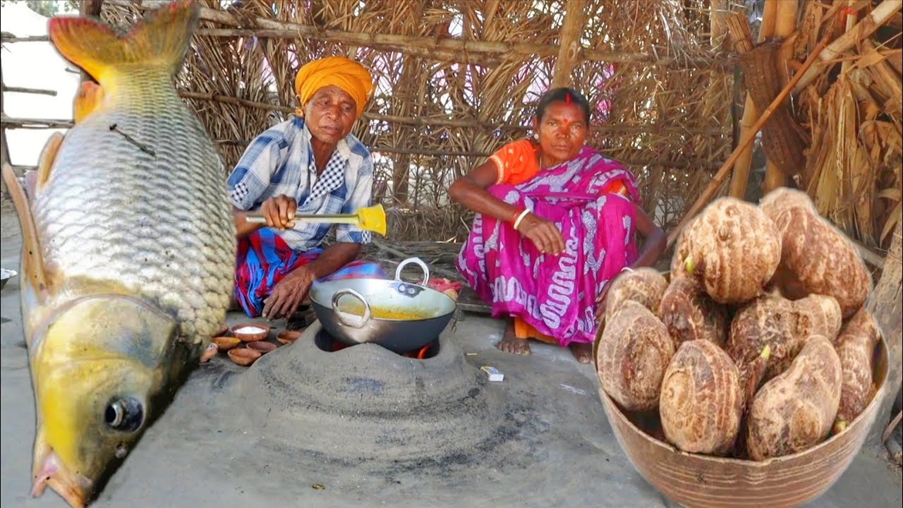 AMERICAN RUI fish curry and TARO ROOT recipe cooking & eating by santali tribe old couple