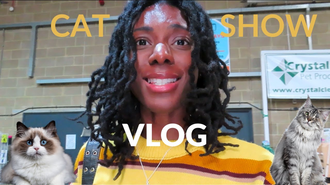Cat show VLOG | Meet the Fancy Cats of England 🐱