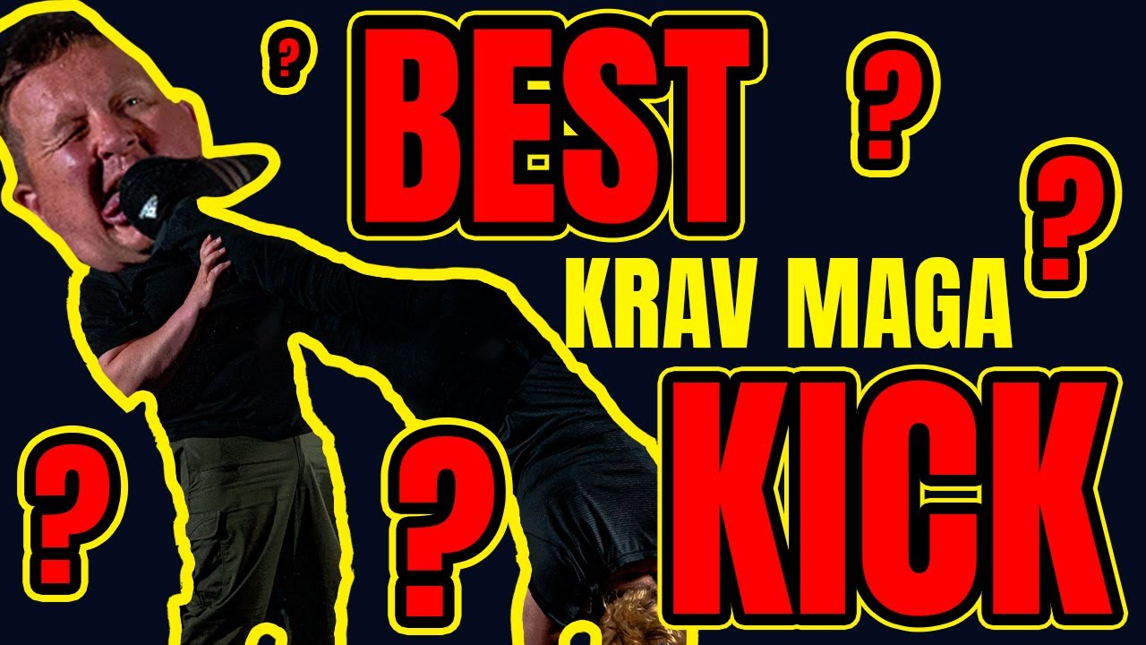 Black Belts React to BEST Krav Maga Kick