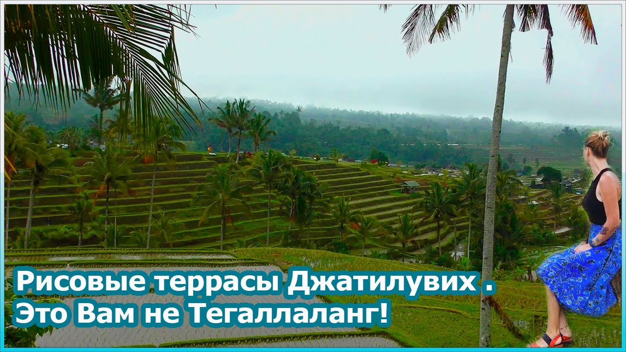 Рисовые террасы Джатилувих - это Вам не Тегаллаланг! [№133]