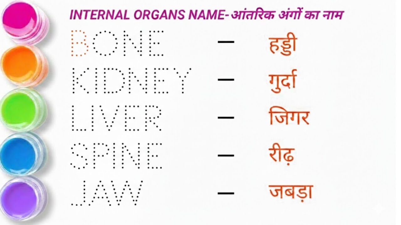 Internal body parts name | Body parts name| शरीर के अंगों के नाम | Sharir ke angon kenaam