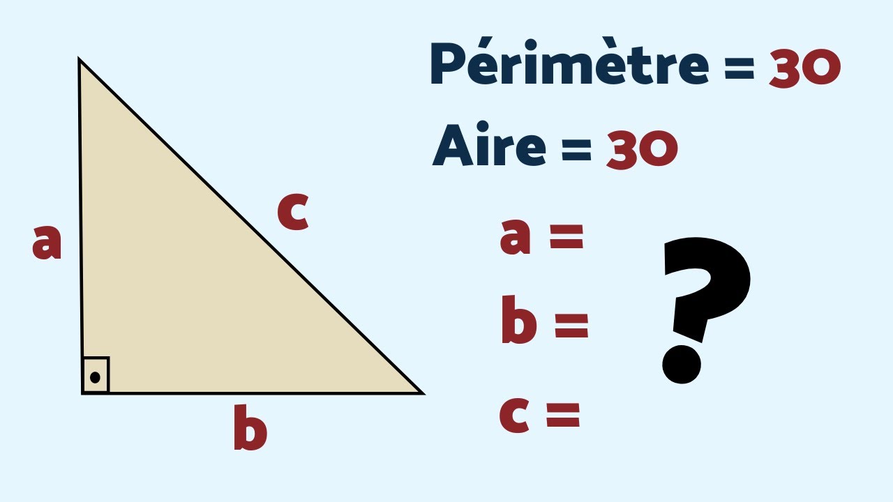 UN CONDENSÉ DE RÉFLEXES 😉