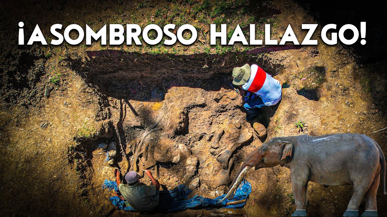INCREÍBLE: Descubren MASTODONTE ANDINO perfectamente conservado | CHAMBARÁ | DOCUMENTAL
