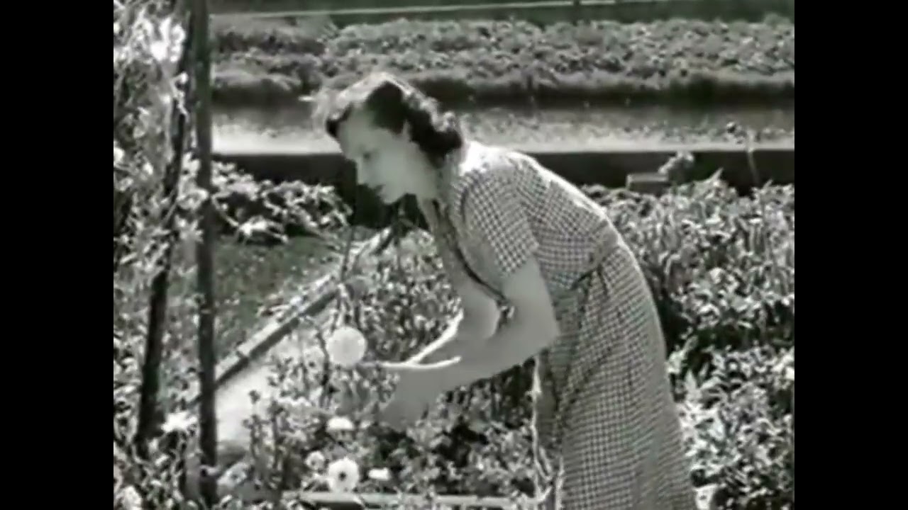 The Flower of Sweet Strabane (Richard Hayward)