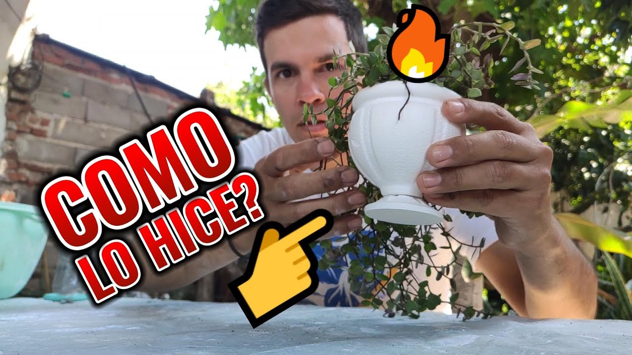 Tutorial MACETAS de yeso con botella reciclada