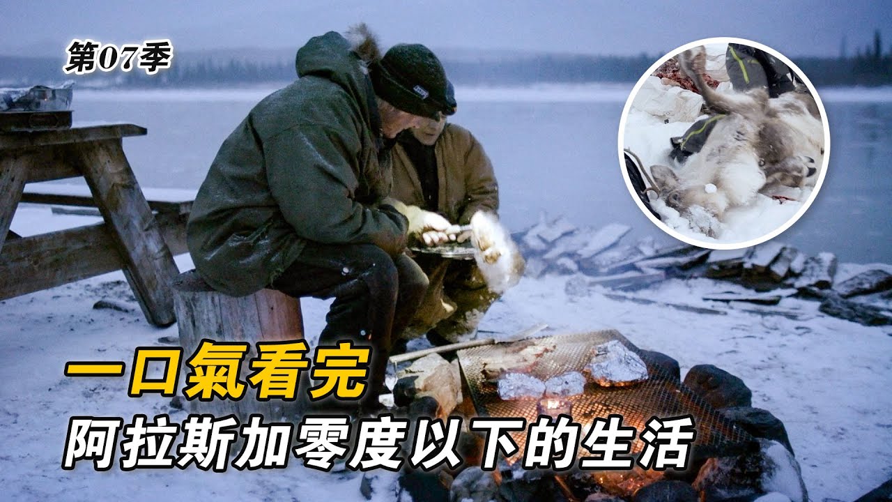 一口氣看完阿拉斯加零度以下的生活：狩獵馴鹿儲備過冬糧食，自製熱水器泡露天桑拿，下網捕撈洄遊鮭魚，購買土地建造荒野木屋！紀錄片