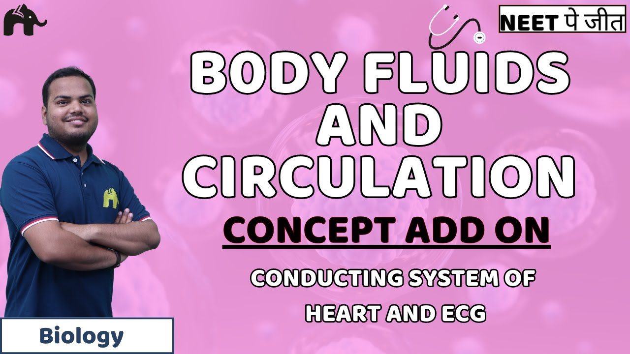 Body Fluids And Circulation Class 11 NEET - Conducting system of Heart and ECG | Biology