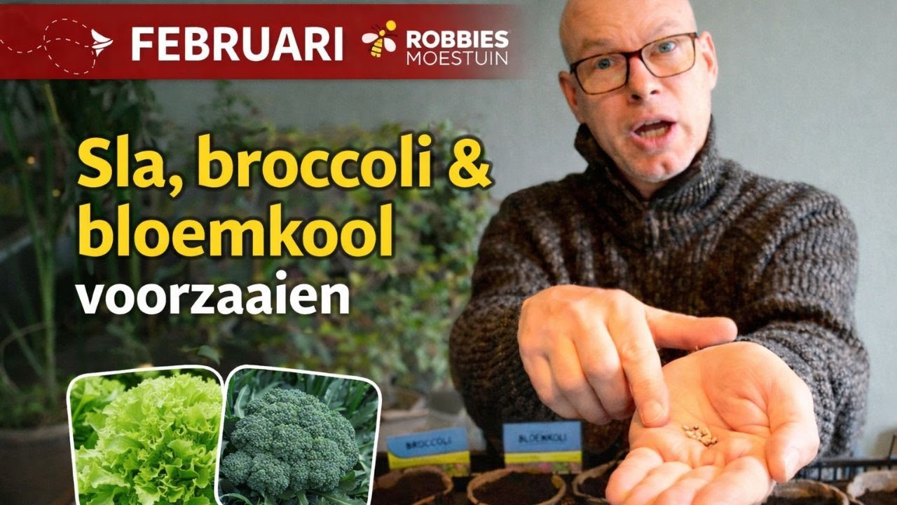 Sla, broccoli en bloemkool voorzaaien in februari | Zo begin ik het moestuinseizoen